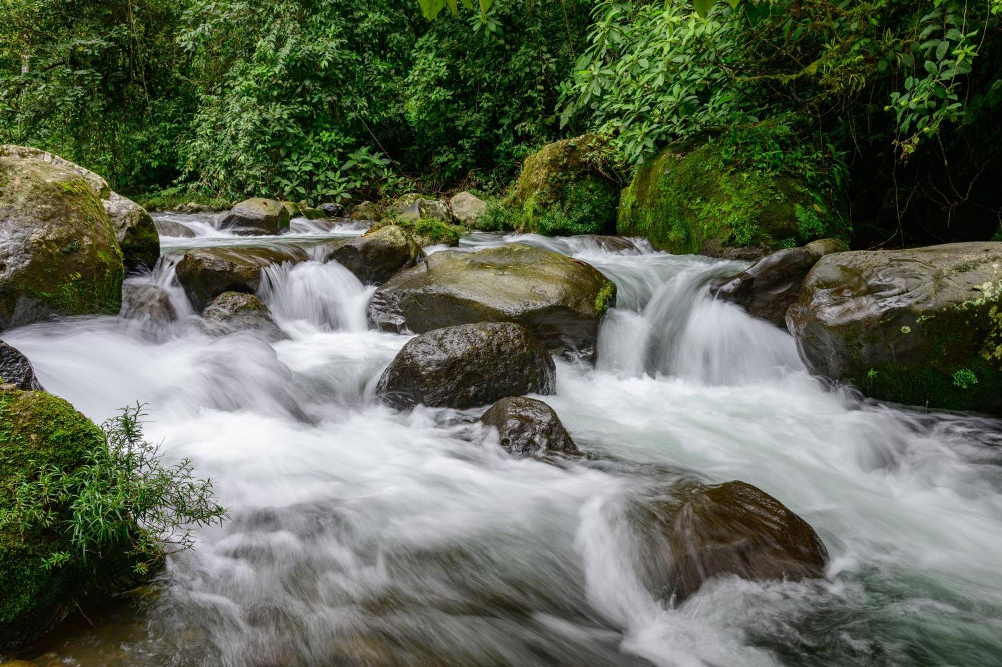 Hotel Rivel - Restaurant & Nature Retreat Turrialba Esterno foto