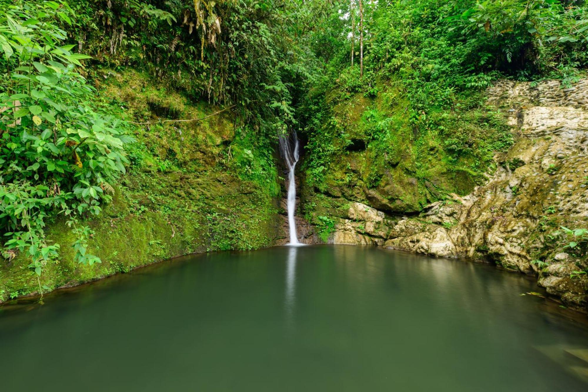 Hotel Rivel - Restaurant & Nature Retreat Turrialba Esterno foto