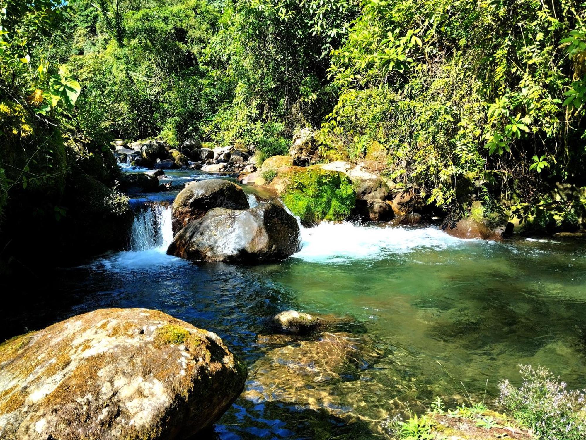 Hotel Rivel - Restaurant & Nature Retreat Turrialba Esterno foto