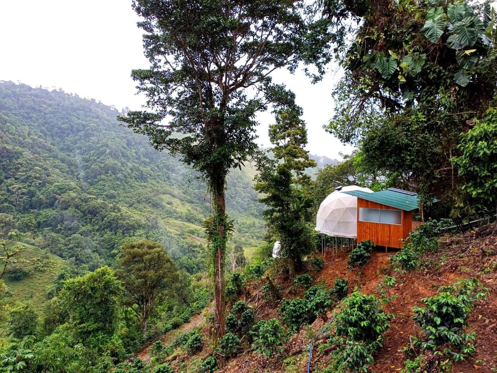 Hotel Rivel - Restaurant & Nature Retreat Turrialba Esterno foto