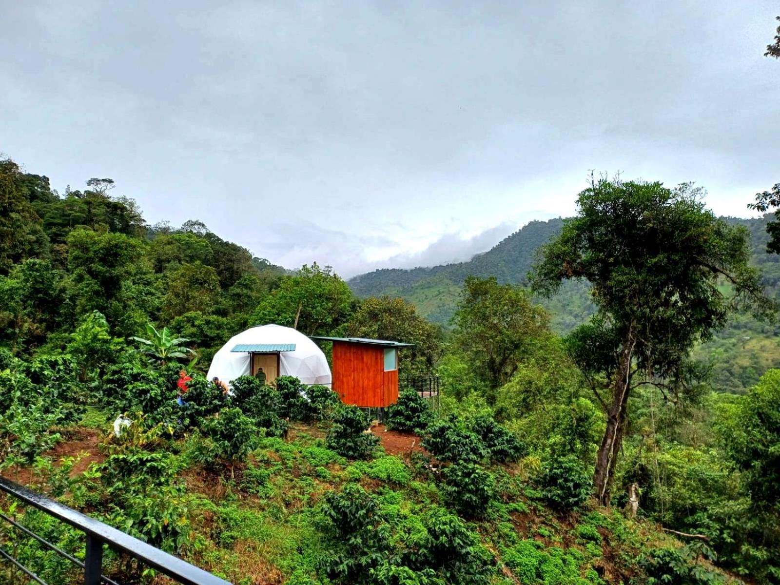 Hotel Rivel - Restaurant & Nature Retreat Turrialba Esterno foto