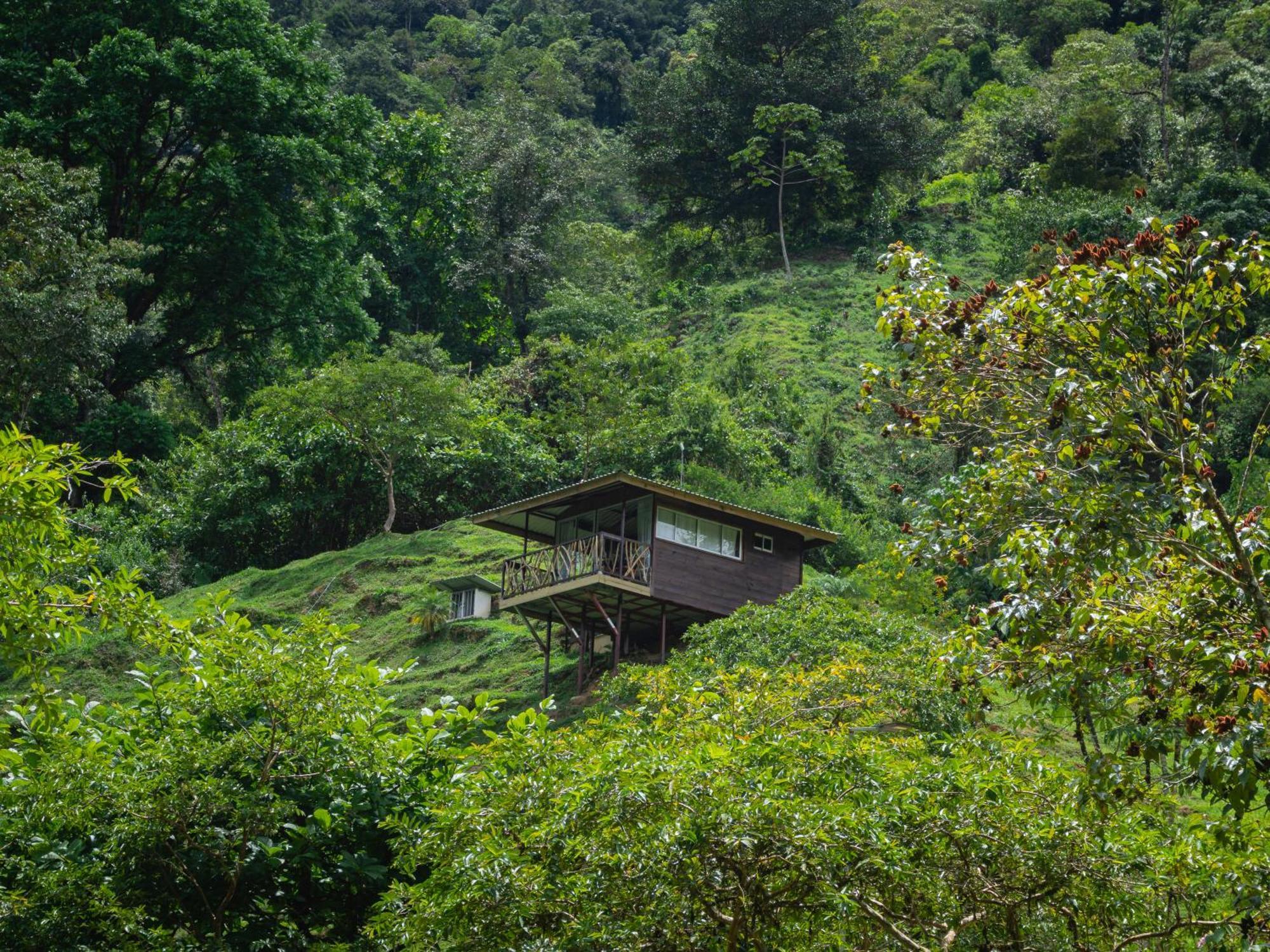 Hotel Rivel - Restaurant & Nature Retreat Turrialba Esterno foto